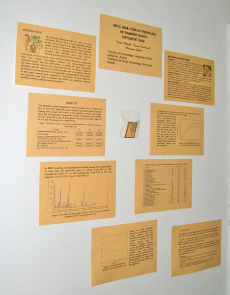 10 N. Nikolic, Z. Todorovic, M. Sakac; HPLC analysis of phenolics of parsnip roots of different size B14-P