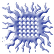 Vinca Institute of Nuclear Science